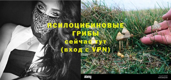 МДПВ Верея