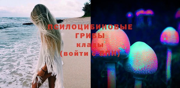 гидропоника Бронницы